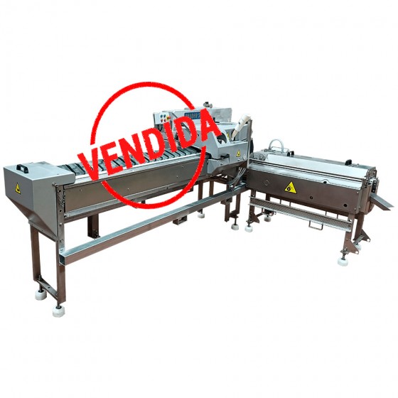 BAADER TYPE 35 - FILLET DE...