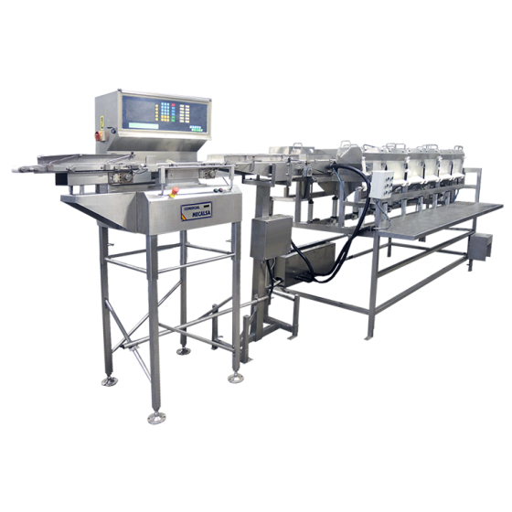 SORTAWEIGH MODELO 480-12 -...